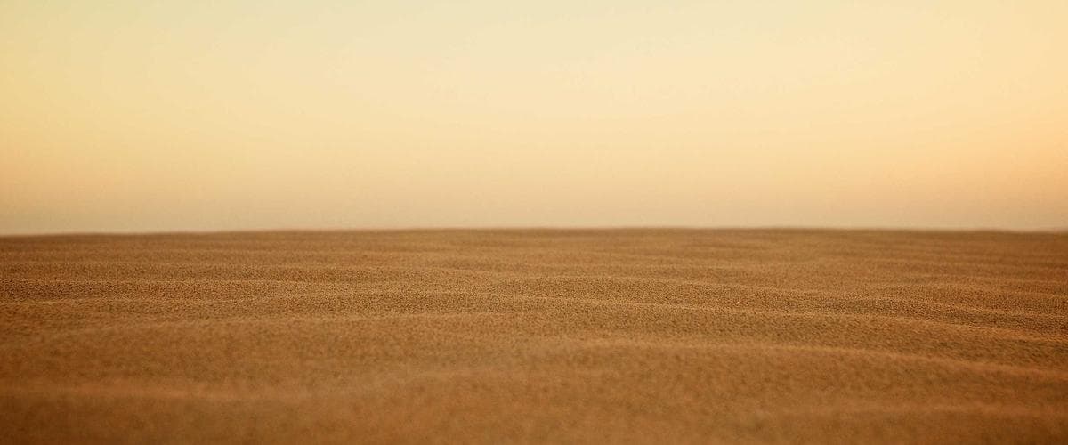 Process Intelligence in Healthcare: Moving Beyond EMR Reporting