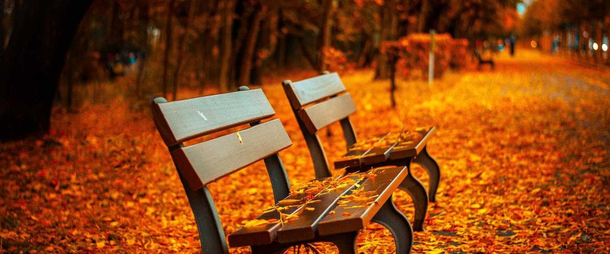 Building Intercompany AI-Driven Organizations: From Data to Decision