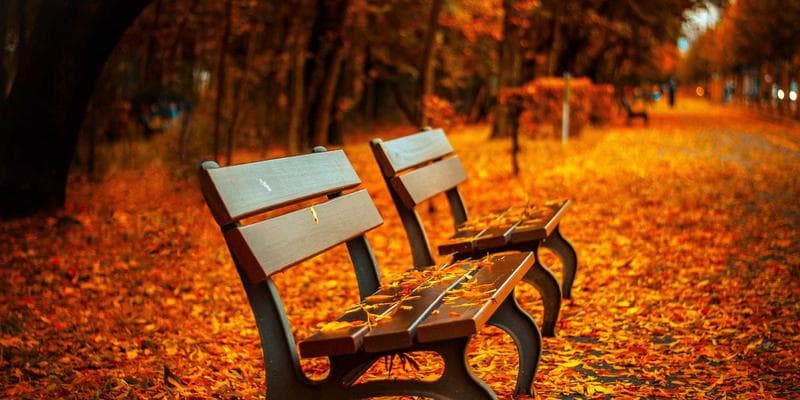 Building Intercompany AI-Driven Organizations: From Data to Decision